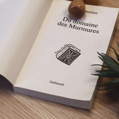 Ex-libris stamp, large book