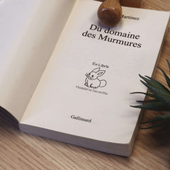 Cute bunny bookplate